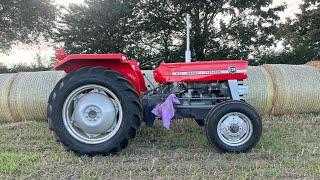 Massey Ferguson 135 Is Back Up And Running!