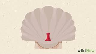 How to Drill a Hole in a Seashell (Without a Drill)