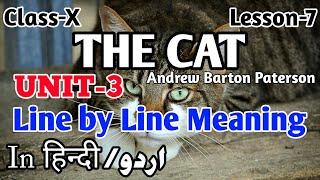 The Cat in HINDI /URDU| Unit-3|Line by Line Meaning|Translation|Explanation| Class-10|Lesson-7|WBBSE