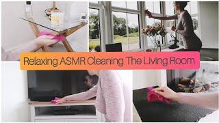 ASMR - Household Cleaning/Dusting The Living Room No Talking