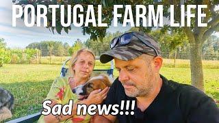 We have some sad news! | PORTUGAL FARM LIFE