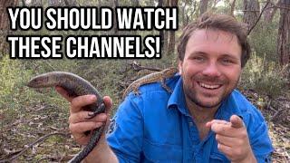 10 OTHER great Animal channels YOU should be supporting!