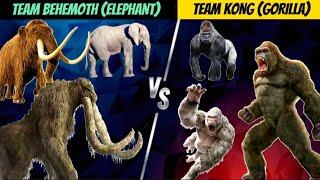 TEAM BEHEMOTH (ELEPHANT) VS TEAM KONG (GORILLA) EPIC BATTLE!!!