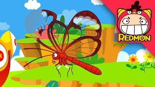 Save the Glass wing Butterfly | Insect Rescue Team | science fairy tale | Cartoons for kids | REDMON