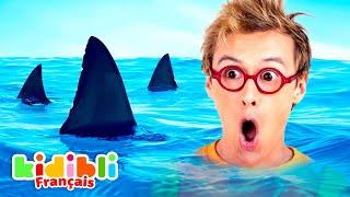 Compilation de Requins | Vidéos Educatives pour Enfants | Kidibli