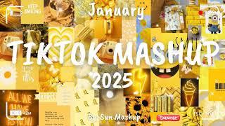 Tiktok Mashup January 2025 (Not Clean)