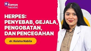 Herpes: Penyebab, Gejala, Pengobatan, dan Pencegahan