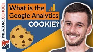 The Google Analytics Cookie (Explained)