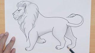 How to Draw a Lion Easy Step by Step    Lion Drawing