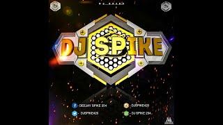 Sean Paul Vs Shaggy Mix   Dj Spike