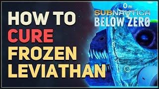 How to Cure Frozen Leviathan Disease Subnautica Below Zero