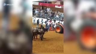 Bucking horse dies at Fort Worth Stock Show and Rodeo
