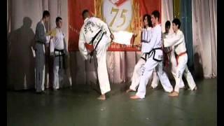 Taekwondo breaking Dara Chan Ouk