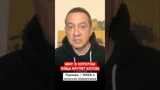 МИР, В КОТОРОМ ЯЙЦА КРУТЯТ КОТОМ. Примеры — MAGA и польские перевозчики