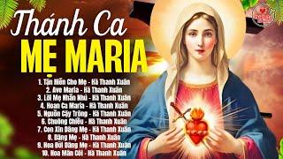 Thánh Ca Mẹ Maria Mới Nhất 2024 | Tận Hiến Cho Mẹ | Thánh Ca Hải Ngoại Hay Nhất 2024