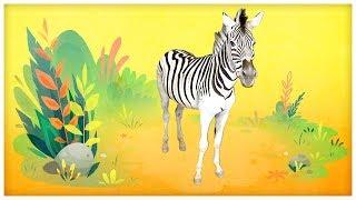 Animal Songs: "He's a Zebra," by StoryBots | Netflix Jr