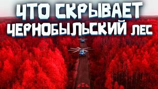 Жуткие кадры ЧЕРНОБЫЛЬСКОГО леса КТО или ЧТО обитает?