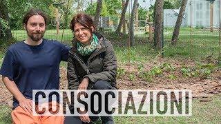 ORTO SINERGICO, CONSOCIAZIONI TRA ORTAGGI