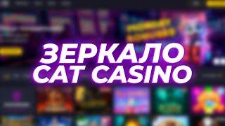 Cat Casino Зеркало: Официальный Вход и Регистрация на Сайт Cat Casino — Полный Обзор и Инструкция