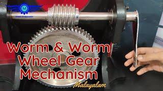 Worm and Worm Wheel Gear Mechanism