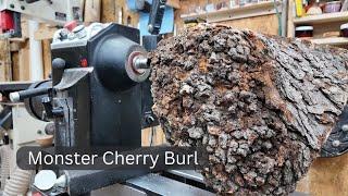 150lb Cherry Burl?