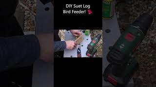 Making a Suet Log Bird Feeder!  #shorts