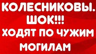 Колесниковы// Шок! Ходят по чужим могилам// Обзор видео//