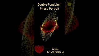 Double Pendulum Phase Portrait #animation #physics #mathematics #chaos