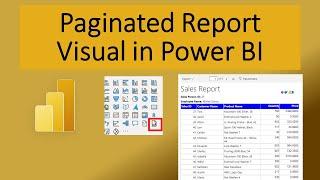 Paginated Report Visual in Power BI