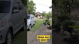 Mulya Asri 2023