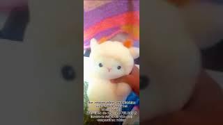 @barbaraeanaclaravieira5129(sub)  plushies