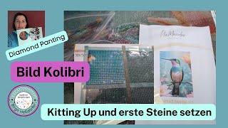 Kitting Up und erste Steine setzen / Bild Kolibri von #picmondoo  und #Gedankenwelt_ai