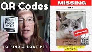 Using QR codes to find a lost pet: 3 ways