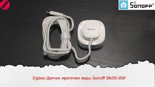 Необычный Zigbee Датчик протечки от компании Sonoff SNZB-05P