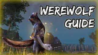 How to Become a WEREWOLF in Elder Scrolls Online (ESO Guide)