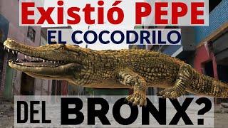 PEPE, EL COCODRILO DEL BRONX DE BOGOTÁ.  There Was A Crocodile In The Bronx Of Bogota Colombia? #112