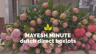 Mayesh Minute: Dutch Direct Flowers May 8