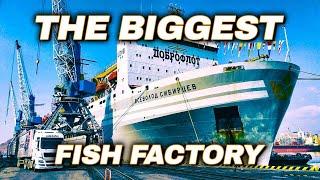 World's LARGEST Floating Fish Processing Vessel // Episode 2