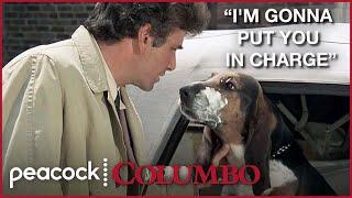 6 Times Columbo's Dog Stole the Scene | Columbo