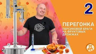 Перегонка персиковой чачи на фруктовых дрожжах