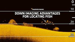 Down Imaging Advantages for Locating Fish