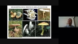 Morphological and Anatomical Parameters in the Taxonomy of Lamellate Mushrooms I Prof NS Atri