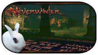 NEVERWINTER: The Reaper's Challenge  38 - Castle (toxic) Never