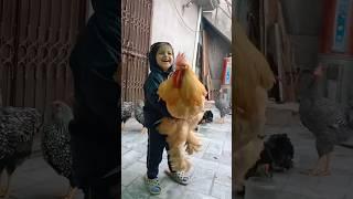 World's Biggest Chicken Play with kid   #chicken #birds #rooster