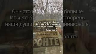 Культовый роман Эмили Бронте "Грозовой перевал" ️️#роман #книги #рек #shortvideo #nature #reels