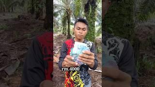 Jangan Remehkan gaji pemanen sawit #shorts