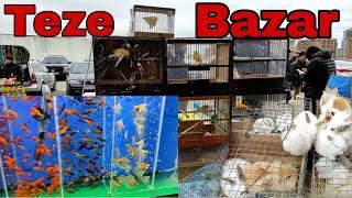 Teze Bazar #tezebazar #elixezer  16.01.2022