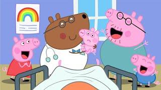 Peppa's New Baby Brother | Peppa Pig Funny Animation