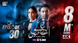 Aye Ishq e Junoon Episode 30 | Ushna Shah | Sheheryar Munawar | 18 FEB 2025 (Eng Sub) | ARY Digital