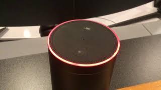 AmaZon Alexa Having Trouble Understanding Right Now (02-2019)